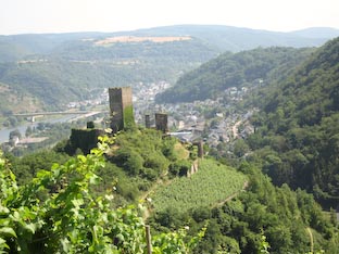 Ferienwohnung -  Ausblick - 
Weingut -  Mosel-Eindrücke