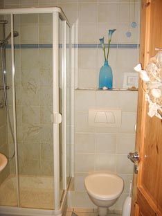 Ferienwohnung -  Ausblick - 
Weingut -  Mosel-Eindrücke