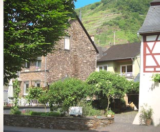 Ferienwohnung -  Ausblick - 
Weingut -  Mosel-Eindrücke