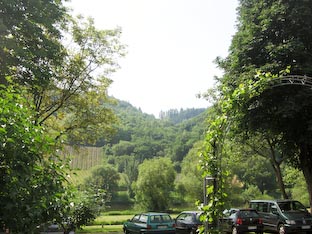 Ferienwohnung -  Ausblick - 
Weingut -  Mosel-Eindrücke