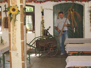 Ferienwohnung -  Ausblick - 
Weingut -  Mosel-Eindrücke