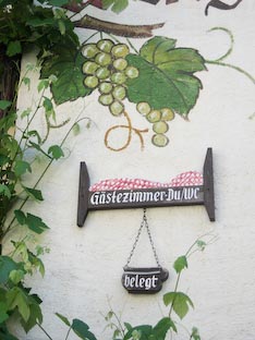 Ferienwohnung -  Ausblick - 
Weingut -  Mosel-Eindrücke