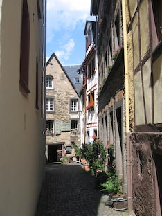 Ferienwohnung -  Ausblick - 
Weingut -  Mosel-Eindrücke