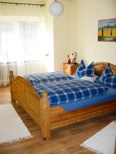 Ferienwohnung -  Ausblick - 
Weingut -  Mosel-Eindrücke