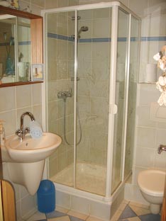 Ferienwohnung -  Ausblick - 
Weingut -  Mosel-Eindrücke