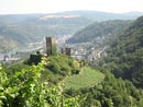Ferienwohnung -  Ausblick - 
Weingut -  Mosel-Eindrücke